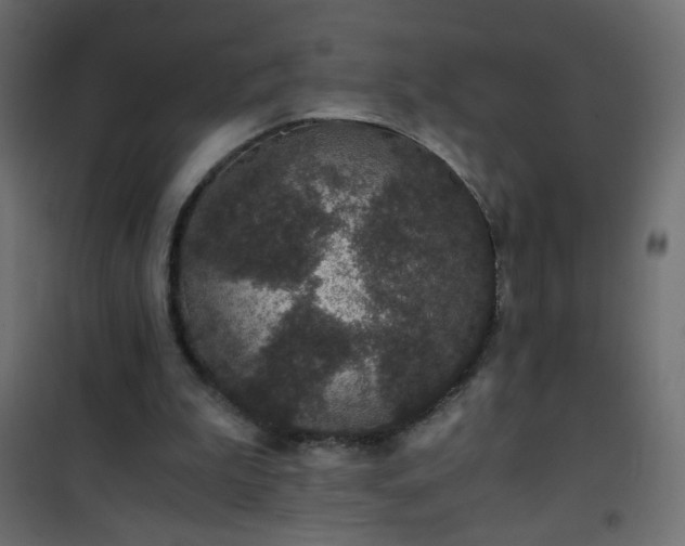X0000101430199200807141250