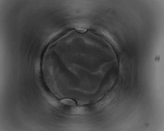 X0000101430202200807141250
