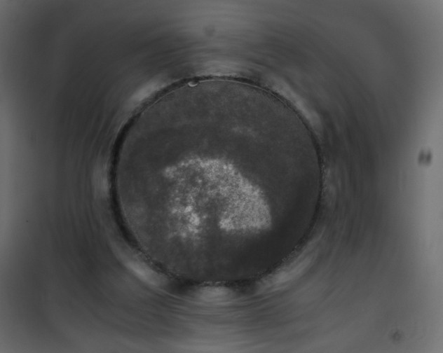 X0000101430203200807141250