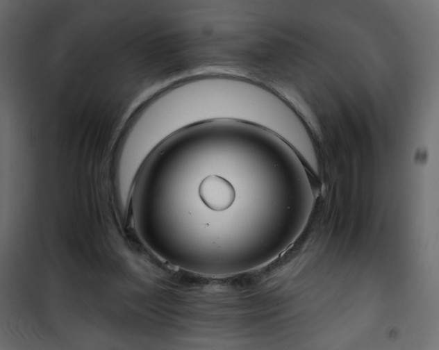 X0000101430204200807141250
