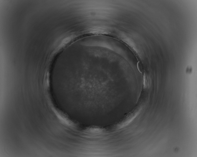 X0000101430205200807141250