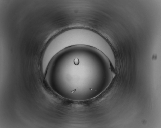 X0000101430208200807141249