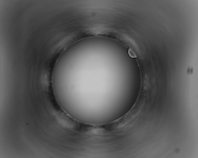 X0000101430210200807141249