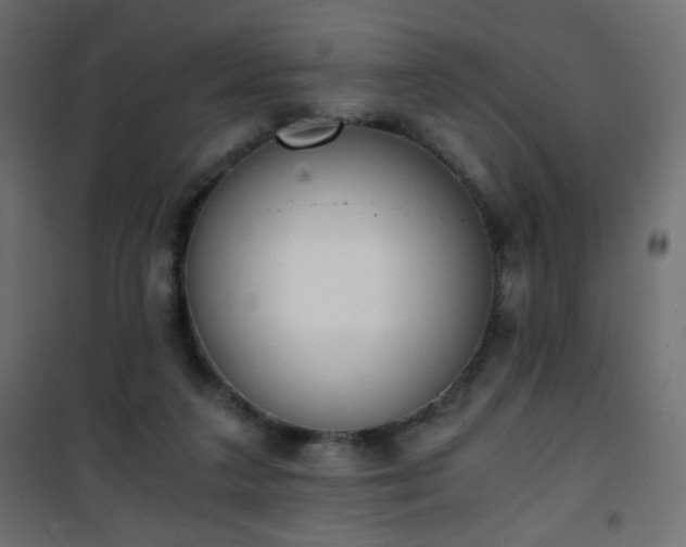 X0000101430211200807141249
