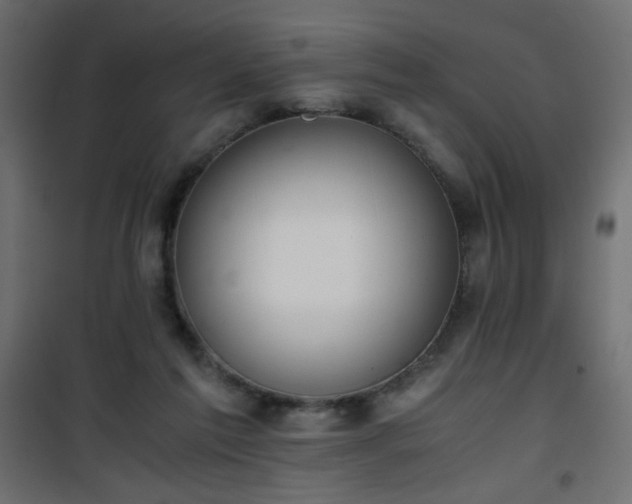X0000101430213200807141249
