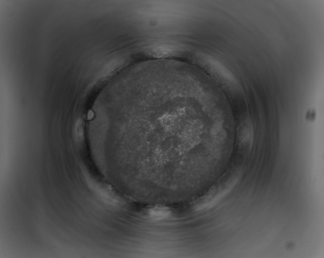 X0000101430214200807141249