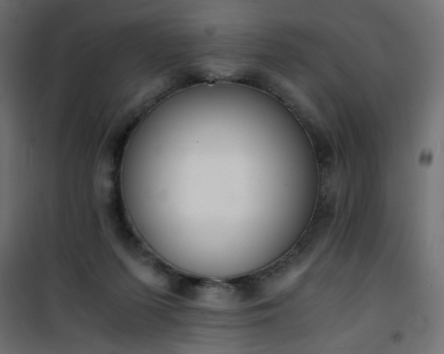 X0000101430215200807141249