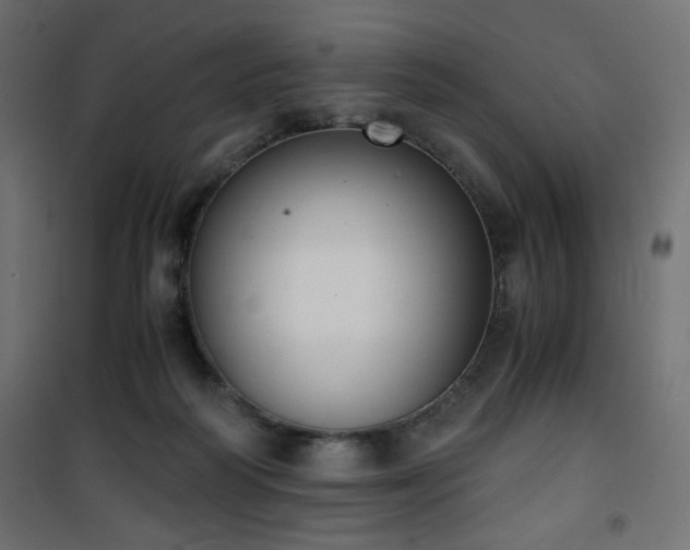 X0000101430218200807141249