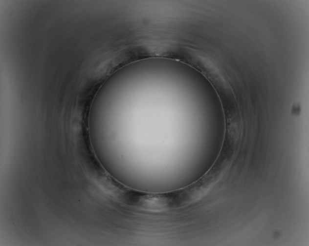 X0000101430221200807141249