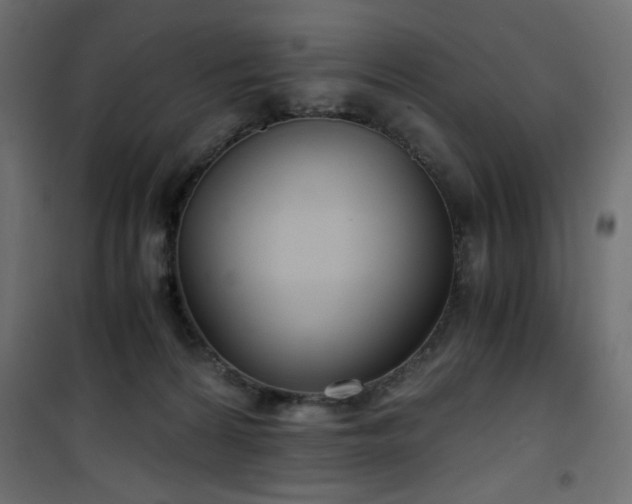 X0000101430224200807141249