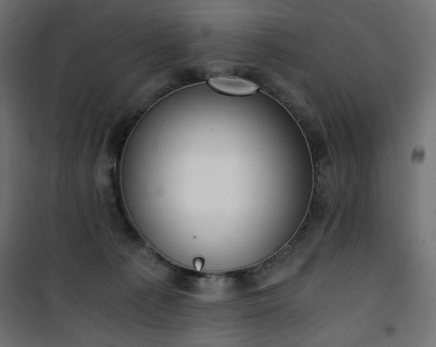 X0000101430225200807141249