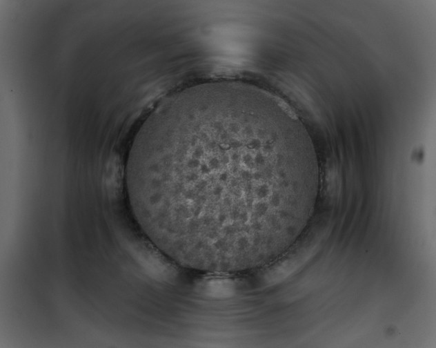 X0000101430228200807141249