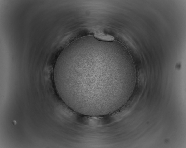 X0000101430229200807141249
