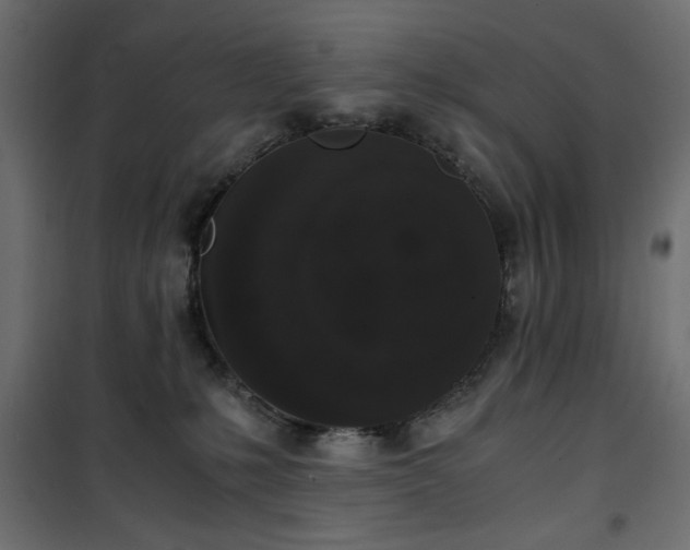 X0000101430231200807141249