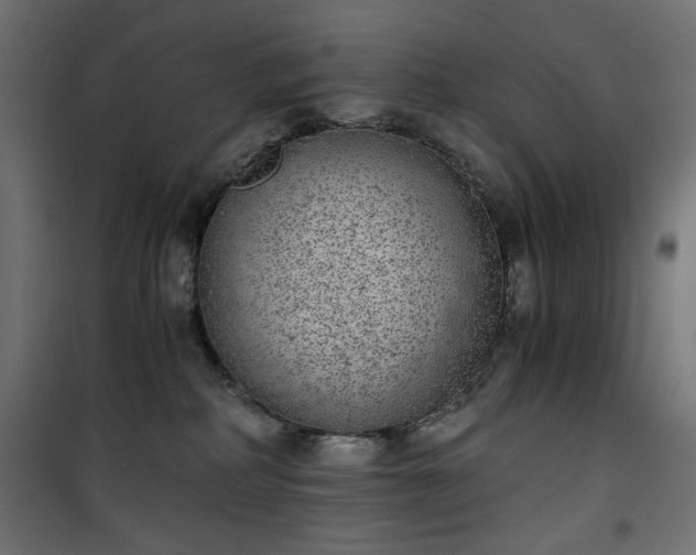 X0000101430234200807141249