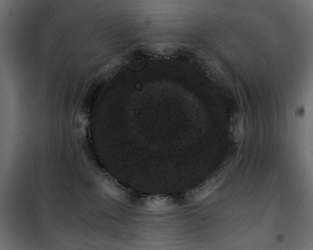X0000101430235200807141249