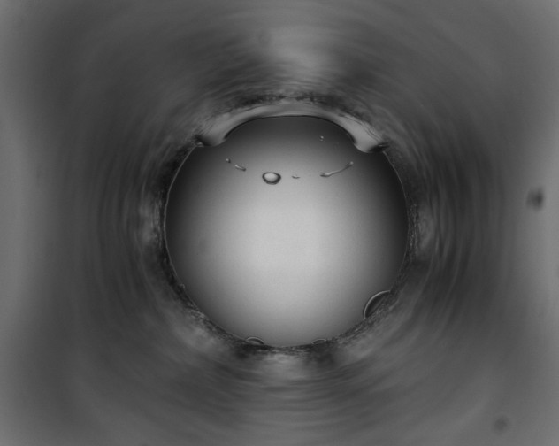 X0000101430236200807141249