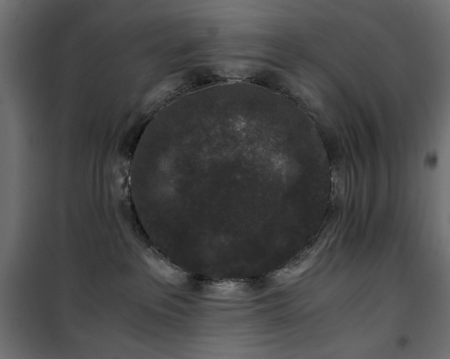 X0000101430237200807141249