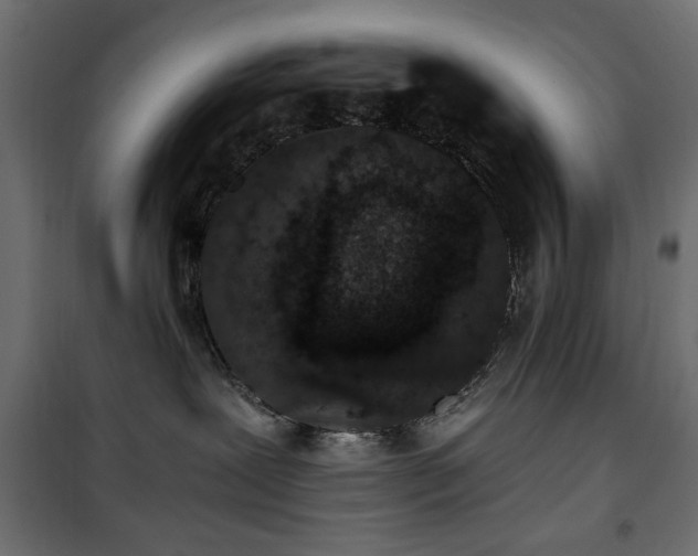 X0000101430239200807141249