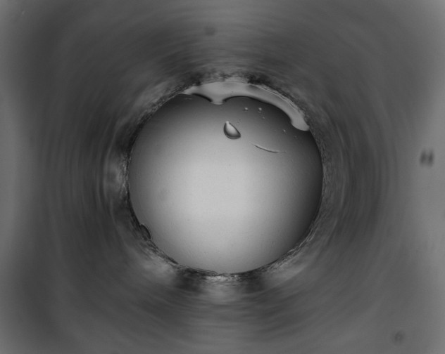 X0000101430240200807141249