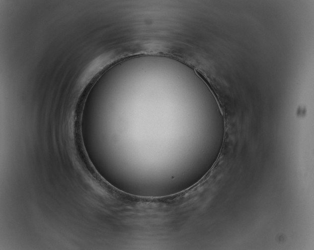 X0000101430242200807141248