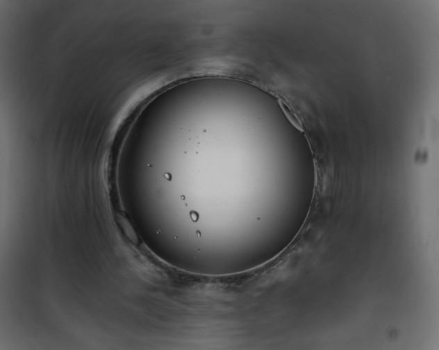 X0000101430244200807141248