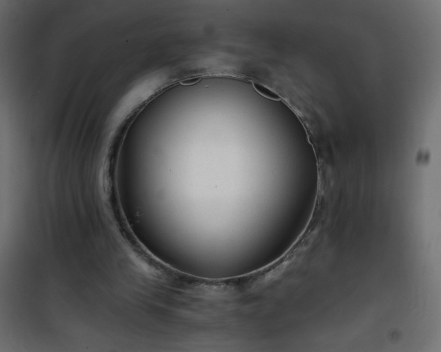X0000101430245200807141248