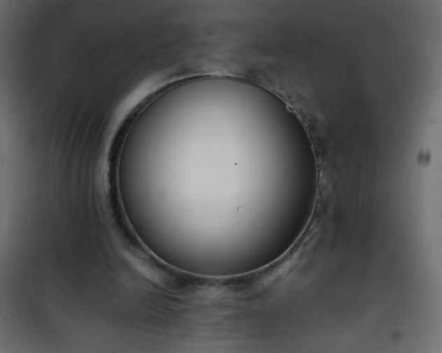 X0000101430246200807141248