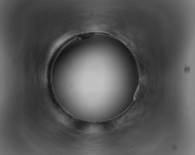 X0000101430248200807141248