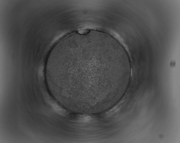 X0000101430249200807141248