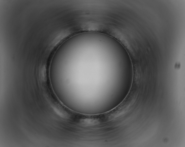 X0000101430251200807141248