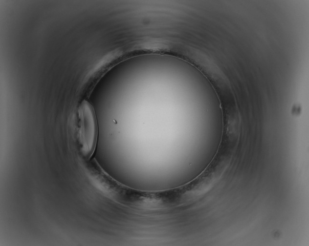 X0000101430256200807141248