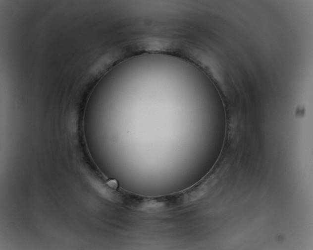 X0000101430257200807141248