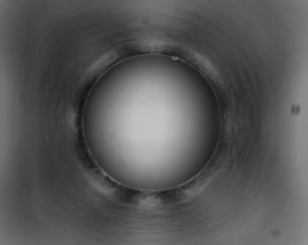 X0000101430258200807141248