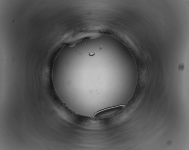 X0000101430260200807141248