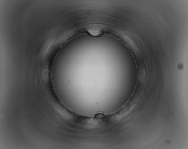 X0000101430261200807141248