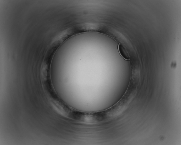 X0000101430264200807141249