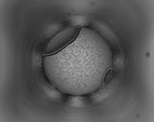X0000101430268200807141249
