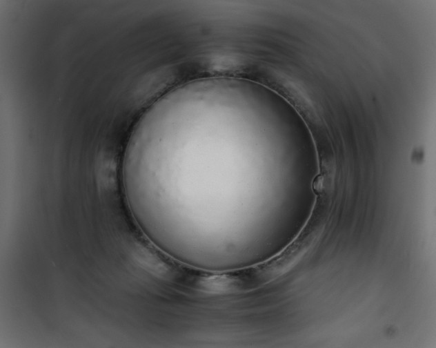 X0000101430269200807141249