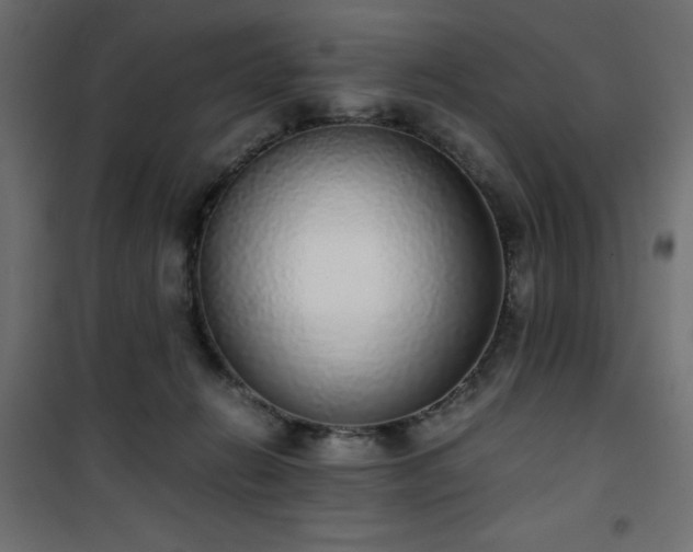 X0000101430270200807141249