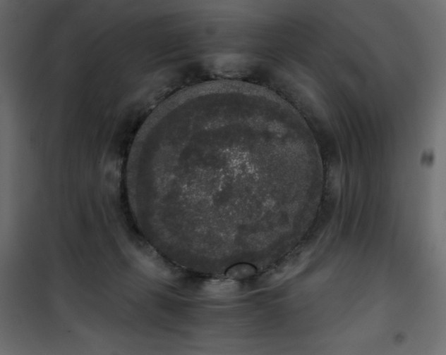 X0000101430271200807141249