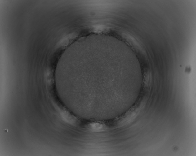 X0000101430272200807141249