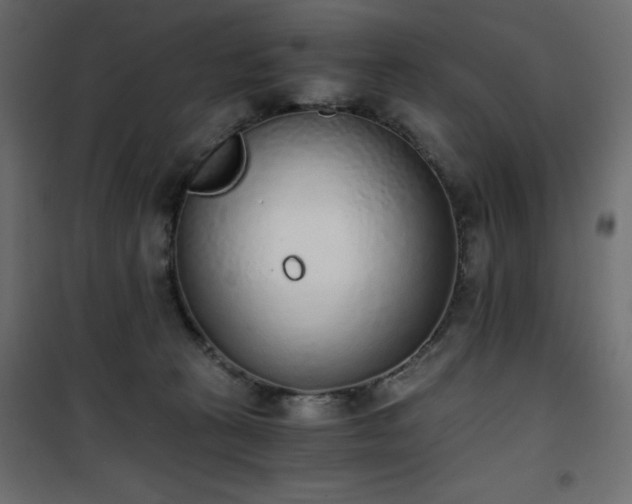 X0000101430273200807141249