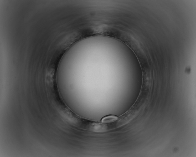 X0000101430275200807141249