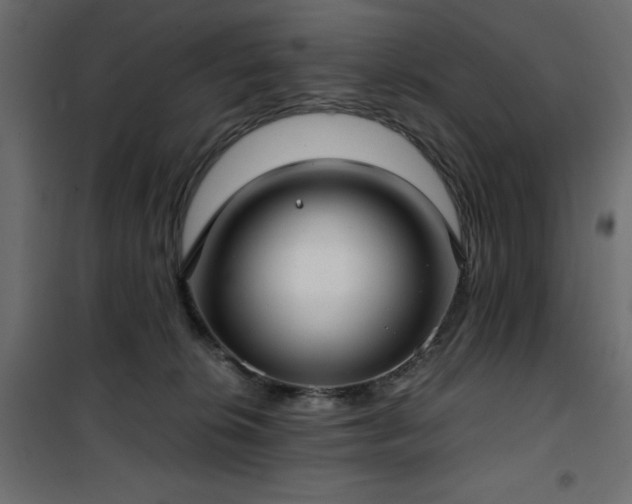 X0000101430276200807141249