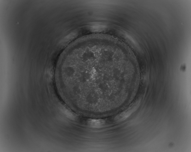X0000101430277200807141249