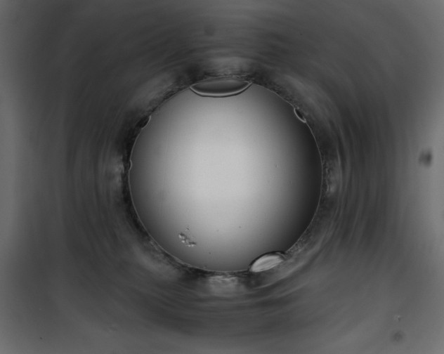 X0000101430279200807141249