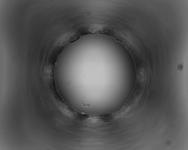X0000101430280200807141249