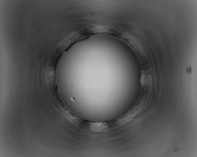 X0000101430281200807141249
