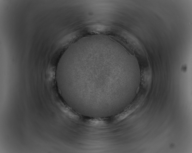 X0000101430284200807141249